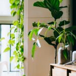 Maximize Your Small Space: Expert Design Tips for Big Style